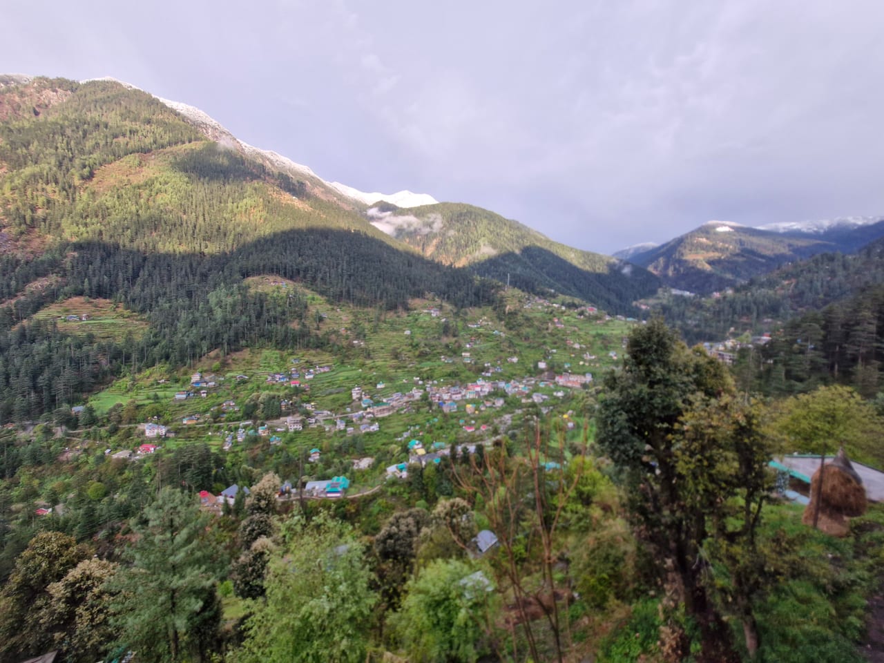 Jibhi Village panorama — wooden rooftops, terraced fields and Himalayan snow line