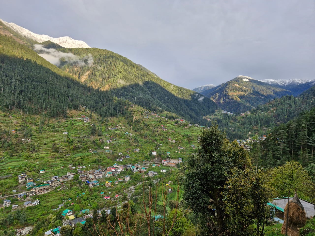 Tirthan Valley panorama from Emberwood — Jibhi village, snow-capped peaks, deodar forest